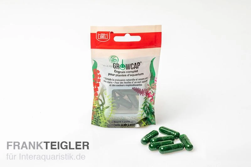 GrowCap Kapseln L, Pflanzendünger, Für 250 - 500 Liter 1 GrowCap Kapseln L, Pflanzendünger, Für 250 - 500 Liter